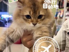 -瑞鹏宠物医院·骨科·猫科·内科(第一中心)