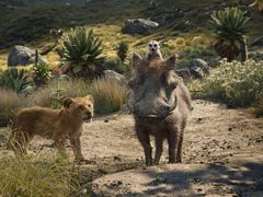 -中影嘉华国际影城(大芬星都里店)