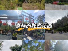 -辛庄国际文化艺术区