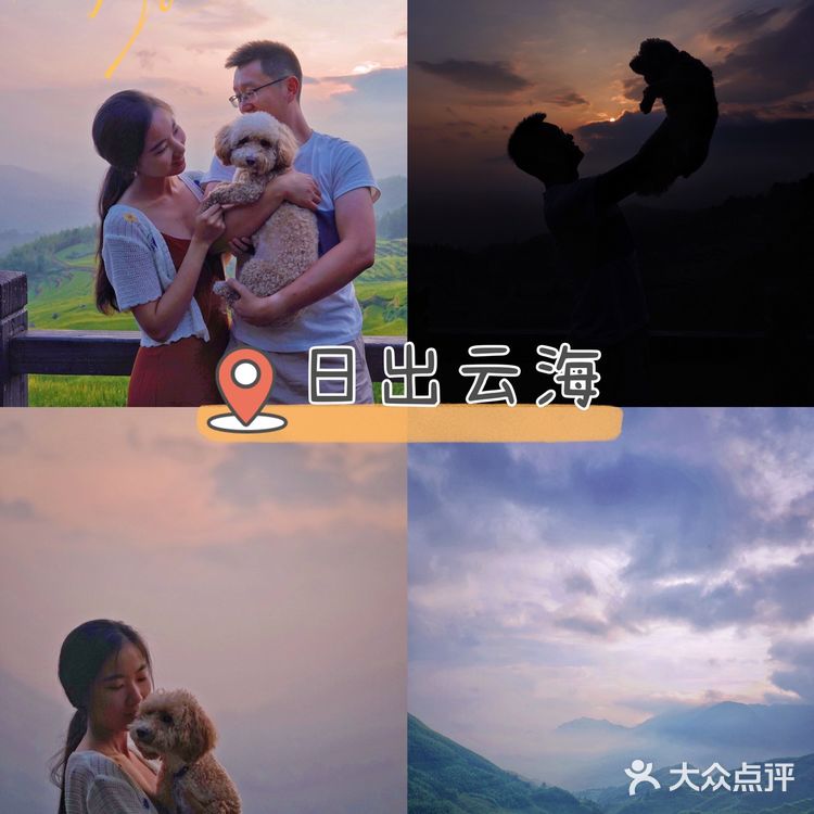 江浙沪周边|丽水四天三晚自驾游保姆级攻略【下】