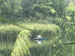 -洋湖国家湿地公园