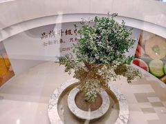 -北京清河万象汇