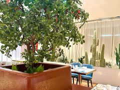 -悦海·家宴·冰花皮皮虾大锅贴(宝龙店)