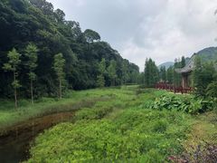 -广州市石门国家森林公园