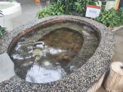 -河北霸州茗汤日月潭温泉