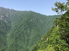 -陕西省红河谷森林公园