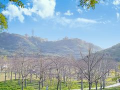 -风云岭森林公园