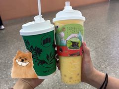 -雾与山茶(大禹城店)