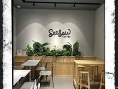 -Seesaw Coffee(环贸iapm店)