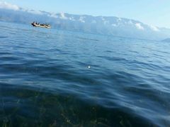 -品腐记·豆腐王朝(老门东总店)