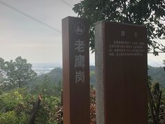 -滴水岩森林公园