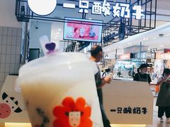 -一只酸奶牛(群光店)