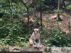 -黔灵山公园