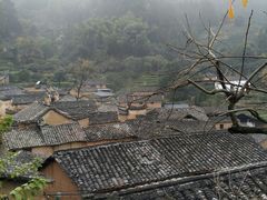 -杨家堂村