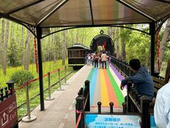 -合肥滨湖国家森林公园