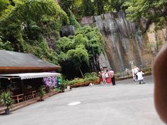 -野象谷景区
