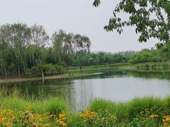 -东郊湿地公园