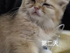 -美联众合爱康动物医院•复杂内科•肿瘤科•牙科•腔镜诊疗中心