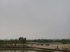 -东郊湿地公园