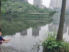 -重庆彩云湖湿地公园
