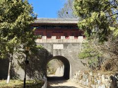 -云岗森林公园