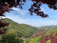 -四明山国家森林公园