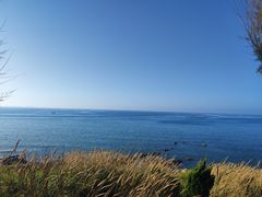 -养马岛旅游度假区