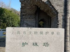 -上海佘山国家森林公园天马山园