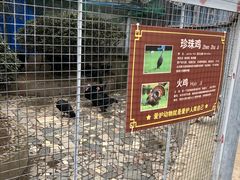 -水绘园