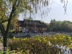 -武汉园博园(武汉自然博物馆)