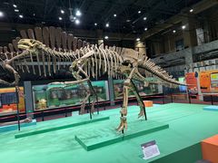 -国家自然博物馆