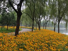 -东郊湿地公园