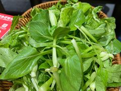 -老凯俚酸汤鱼(多彩城店)
