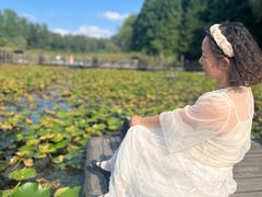 -溱湖国家湿地公园