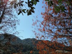 -广州市石门国家森林公园