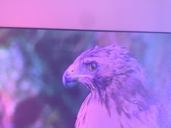 -JMGO坚果投影(长宁龙之梦店)