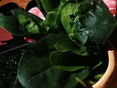 菠菜-老牌坊鱼豆花火锅(东盛大街店)