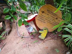 -呀路古热带植物园-恐龙馆
