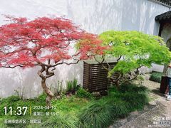 -拙政园