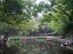 -赭山公园