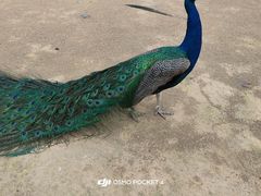 -杭州野生动物世界