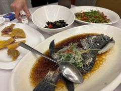 -骏莱海鲜鱼港(五角场店)