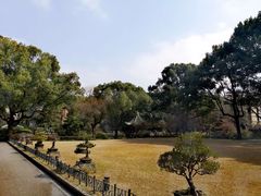 -申粤轩酒楼·三十年粤菜经典(丁香花园店)