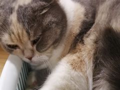 -藦茜花园宠物主题亲子互动体验馆(国顺东路店)