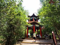 -滕州微山湖红荷湿地景区