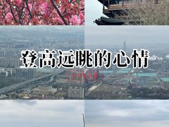 -杭州半山国家森林公园