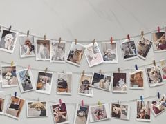 -瑞派康怡24h宠物医院·犬猫医疗中心·微创绝育(瑞景分院)