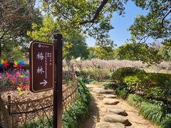 -白马涧龙池景区