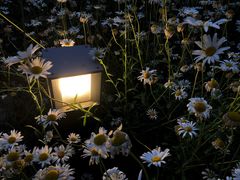 -江苏省苏州实验中学