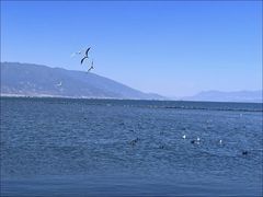 -大理洱海